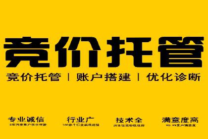 探索SEM竞价推广的成功案例：如何快速提升品牌知名度